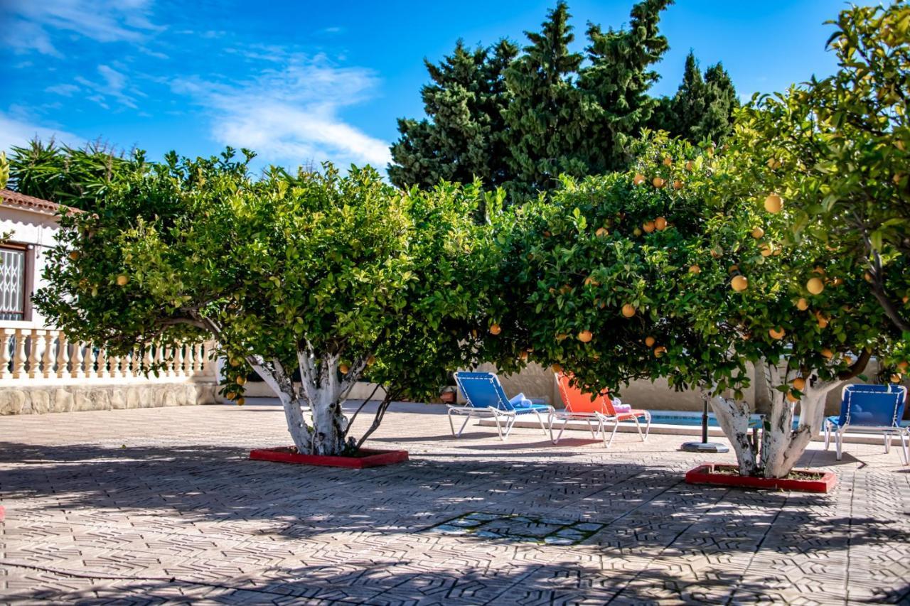 Villas Guzman Ismael Calpe Exteriér fotografie